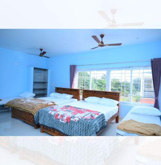 Five / Six Bed Room